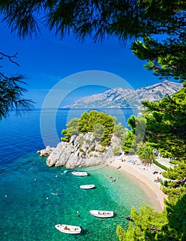 Podrace beach in Brela through pine trees