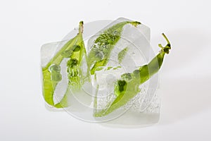 Pods of green pea in ice