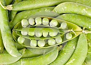 Pods of green peas photo