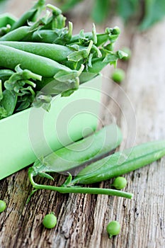 Pods of green peas