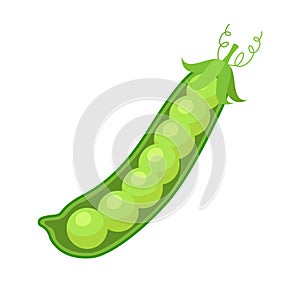 Pods of green peas. Isolated ripe peas on white background. Vector illustration in flat style