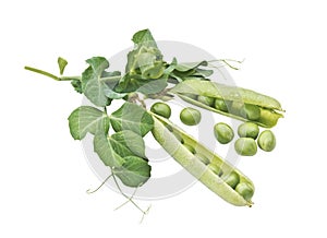 Pods of peas on a white background