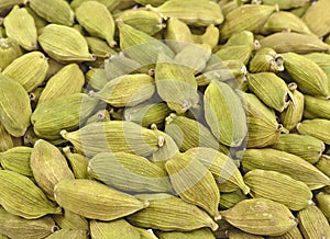 Pods of white cardamom