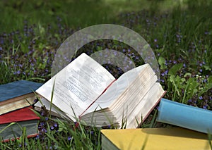 Poem book lying on field with wild flowers