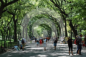 Literary Walk in Central Park, New York City