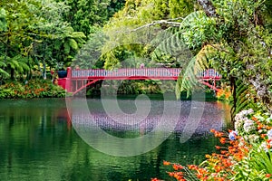 The Poet's Bridge in the Pukekura park in New Plymouth in New Zealand photo