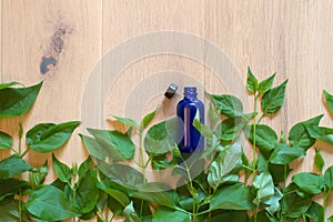 poetic copy space for organic essential oils with glass bottle