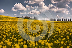 Poggio Covili, Tuscany, Italy