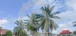 Pohon awan Bright sky