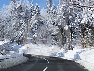 Pohorje Slovenia Areh abandoned winter road photo