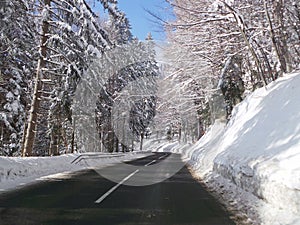 Pohorje Slovenia Areh abandoned winter road photo