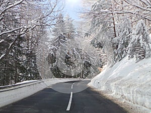 Pohorje Slovenia Areh abandoned winter road photo