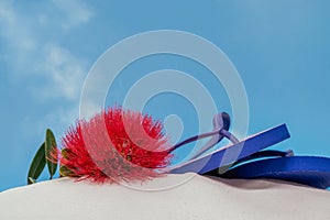 A Pohutukawa flower and jandals resting on a sandy beach in NZ. photo