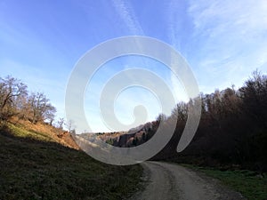 Poiana Marului: road winding through the landscape photo