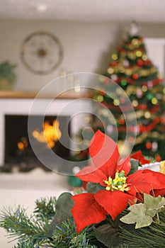 Poinsetta holiday vertical