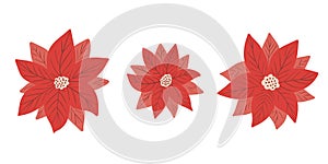 Poinsettia - Christmas star - flower vector collection in simple hand drawn style isolated on white background. Clip art, elements