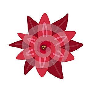 Poinsettia Christmas Star red flower - simple hand draw flat doodle. Vector illustration. Festive winter flower clip art