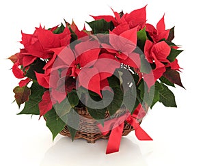 Poinsettia Flower Arrangement photo