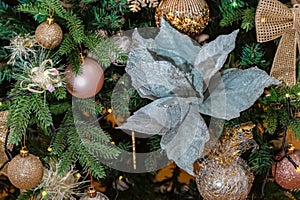 Poinsettia flower on a branch of a Christmas tree and golden balls, blurred background with garland and bokeh.