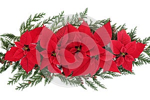 Weihnachten blume Anzeige 