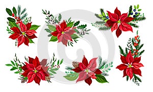 Poinsettia Flower with Fir Tree Branches and Berry Twigs Composition Vector Set