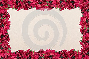 Poinsettia flower frame over a white surface - great for framing a romantic picture or text