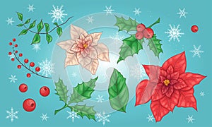 Poinsettia Flowers and Christmas Floral Elements. Vector