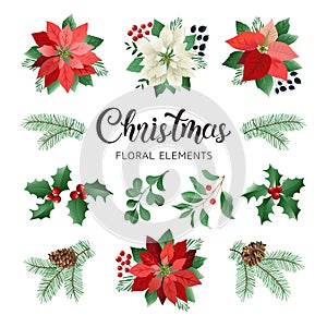 Poinsettia Flowers and Christmas Floral Elements in Watercolor Style vector. photo