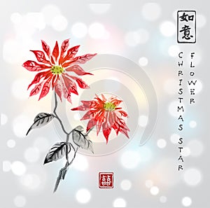 Poinsettia hand drawn with ink on white glowing background. Christmas star flower. Traditional oriental ink painting