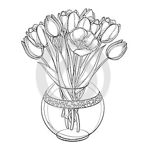 Vector bouquet with outline tulip flowers, bud and ornate leaves in transparency round vase in black isolated on white background.