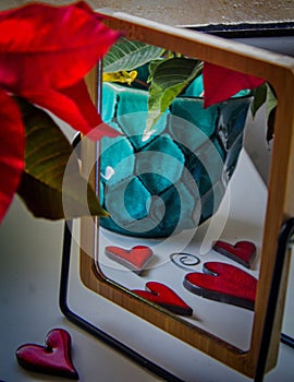 Poinsettia plant and it´s reflection in a mirror - still life