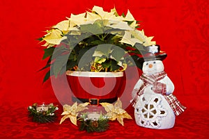 Poinsettia in a Red Basket with Candles and Snowman