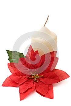 Poinsettia with yellow candle