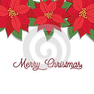 Poinsettias design with Merry Christmas letter photo