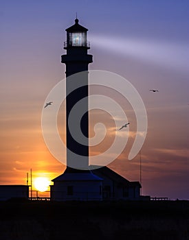 Point Arena, California