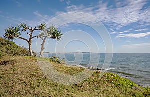 Point Arkwright Lookout Northern view