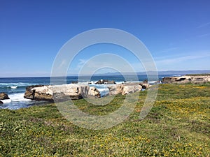 Point Buchon Trail - wildflowers, bluffs and caves with ocean view