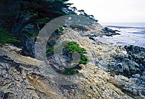 Point Lobos