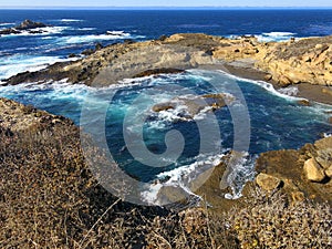 Point Lobos