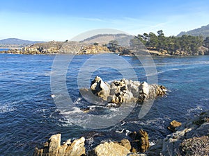 Point Lobos