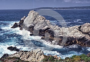Point Lobos Reserve photo