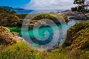 Point Lobos State Park California