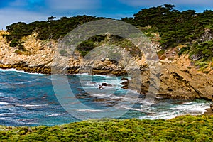 Point Lobos State Park California