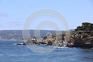 Point Lobos State park in California