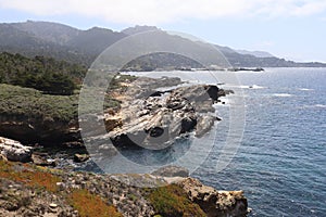 Point Lobos State park in California