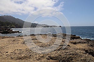 Point Lobos State park in California