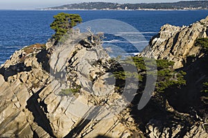 Point Lobos State Park, Monterey, California