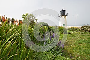 Point Montara Fog Signal and Light Station with flowers