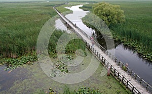 Point Pelee Boardwalk