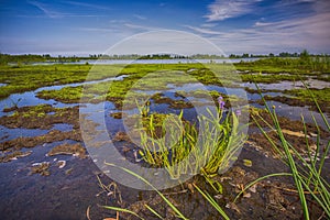 Point Pelee National Park, Ontario, Canada